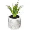 Image de Atmosphera - Plante Grasse Artificielle Pot Ciment H14cm Créateur D'Intérieur