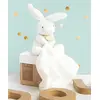 Image de Doudou Coffret cadeau - lapin avec crapaud 10 cm