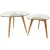 Image de The Home Deco Factory - Tables Gigognes Galets Plateaux En Verre Trempé (lot De 2)