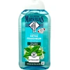 Image de Le Petit Marseillais Shampooing Micellaire Détox 250ml - Expérience de soins capillaires frais