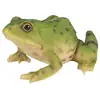 Image de Grenouille Verte 15cm