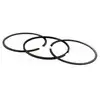 Image de Jeu De Segments Briggs Et Stratton 499425