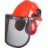 Image de Casque forestier complet, visière + grillage