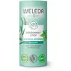 Image de Déodorant stick à l'eucalyptus Weleda 50 g