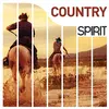 Image de Spirit of Country en occasion ou reconditionné