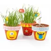 Image de Coffret anniversaire - 10 pots "Petits monstres" - A semer