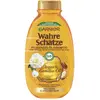 Image de GARNIER Trésors de beauté SHAMPOOING à l'huile d'argan et de camélia (flacon de 250 ml)