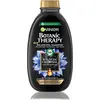 Image de GARNIER - Botanic Therapy Shampooing au charbon magnétique et à l'huile de graines noires (cheveux gras avec pointes sèches) 400ml