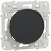 Image de Odace - Obturateur - anthracite - fixation par vis - SCHNEIDER ELECTRIC - S540666