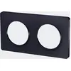 Image de Plaque double Odace touch, anthracite liseré anthracite