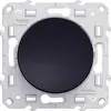 Image de Interrupteur Va-Et-Vient Odace, Gris Anthracite