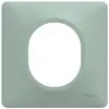 Image de Plaque simple Ovalis, SCHNEIDER ELECTRIC, sauge