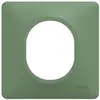 Image de Plaque simple Ovalis, SCHNEIDER ELECTRIC, vert forêt
