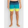 Image de Billabong All Day Fade Boardshort noir XL