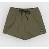 Image de Quiksilver Everyday Solid Volley 15 Boardshort vert L