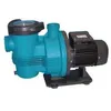 Image de Pompe Pour Piscine 1 Cv Monophasée   Débit 18 M3/h   Moteur Ie2 Haute Performance   Turbine Noryl Renforcée   Protection Ip55