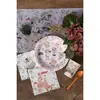 Image de Paquet de 10 Assiettes Explorateur enfant 22,5cm