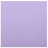 Image de Sachet de 20 Grandes SERVIETTES Airlaid 40 x 40cm, Parme