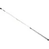 Image de Canne à pêche au coup Daiwa Aqualite Alborella Argent 2,50 m Argent 2,50 m