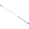 Image de Canne à pêche au coup Daiwa Aqualite Alborella Argent 4,00 m Argent 4,00 m