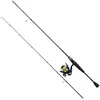 Image de Ensemble de canne et moulinet Daiwa RS802HFS + RS4000 Golden, canne de 2,44 m, puissance 14-42 g