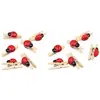 Image de Sachet de 12 PINCES avec coccinelle en bois