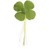 Image de Lot de 12 Trèfles à 4 feuilles