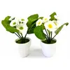 Image de Petites Pâquerettes artificielles 19cm assorties en pot (x1)