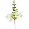 Image de Hortensias Blancs avec branche d'eucalyptus 38cm