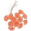 Image de Sachet de 48 mini-Roses satin, Pêche/Corail