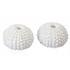 Image de Lot de 2 squelettes d'Oursin blancs décos 4cm en résine
