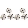 Image de Sachet de 6 Fleurs de coton naturelles 4cm