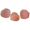 Image de Sachet de 45 Pétales de rose synthétiques, camaieu Terracotta