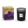 Image de Esteban - Bougie Initiale Rechargeable Figue Noire