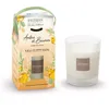 Image de Esteban - Bougie Parfumée Ambre Et Baumes Rechargeable 180g