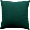 Image de Coussin Déhoussable 40 X 40 Cm Lola 100% Coton Coloris Vert Fonce