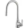 Image de Essebagno Mitigeur Évier À Douchette Ascott Chrome