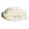 Image de Sachet 10g de 100 plumes 5-10cm, ivoire