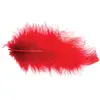 Image de Sachet 10g de 100 plumes 5-10cm, Rouge