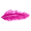 Image de Sachet 10g de 100 plumes 5-10cm, Fuchsia