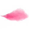 Image de Sachet 10g de 100 plumes 5-10cm, Rose vif