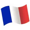 Image de Sachet de 16 Confettis en bois Drapeau franÃ§ais