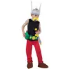 Image de DÃ©guisement AstÃ©rix : Taille 5/6 ans