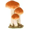 Image de Trois Champignons brun/roux BombÃ©s factices sur socle 18cm