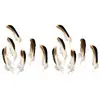 Image de Sachet de 24 Plumes Noir/Brun/Blanc 12cm