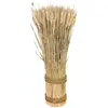 Image de Grande BOTTE Epi de Blé naturel verticale 50cm