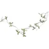 Image de Guirlande de Gui blanc perle avec feuilles givrÃ©es artificielle 110cm