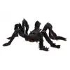 Image de Grande AraignÃ©e velue noire 50cm