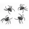 Image de Lot de 4 AraignÃ©es noires 9cm