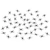 Image de Lot de 50 petites AraignÃ©es noires 3,7 cm